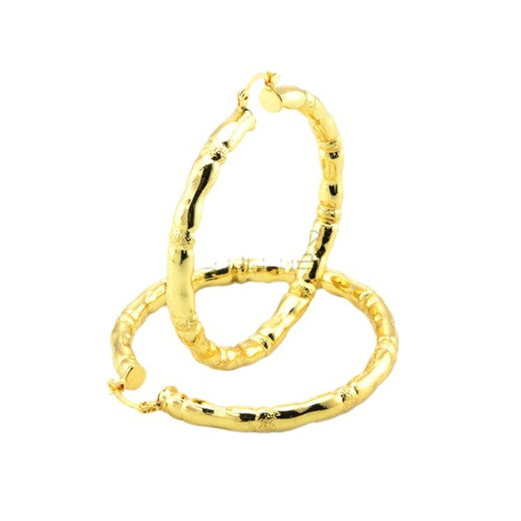 Prachtige Oorbel met unieke stijl