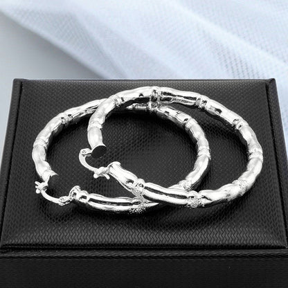 Prachtige Oorbel met unieke stijl