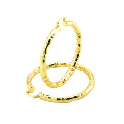 Prachtige Oorbel met unieke stijl