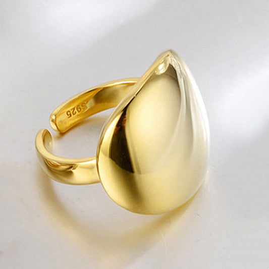 Schitterende Ring voor dagelijks gebruik